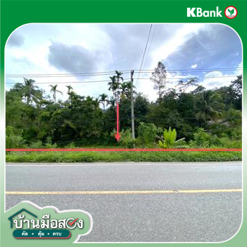 รูป ที่ดินว่างเปล่า 320 ตร.วา กงหรา พัทลุง 2M - รูปที่ 17/19