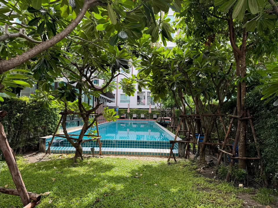 รูป 🔥 ห้องสวย ราคาไม่ถึง 8,000! Niche ID Bangkhae เฟส 2 เพียง 7,980 บาท/เดือน 🔥 🏡 29 ตร.ม. | ชั้น 7 | อาคาร D - รูปที่ 6/8