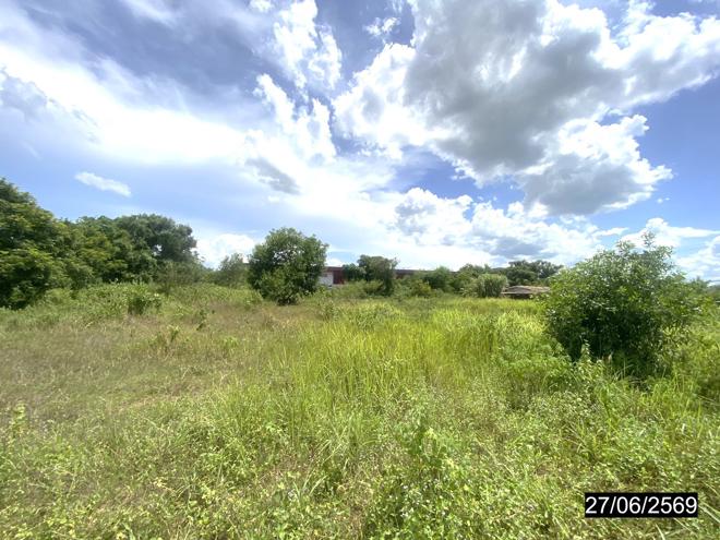 picture LAND 2417 Sq.w. Nongkai for 23.6M - 5/17