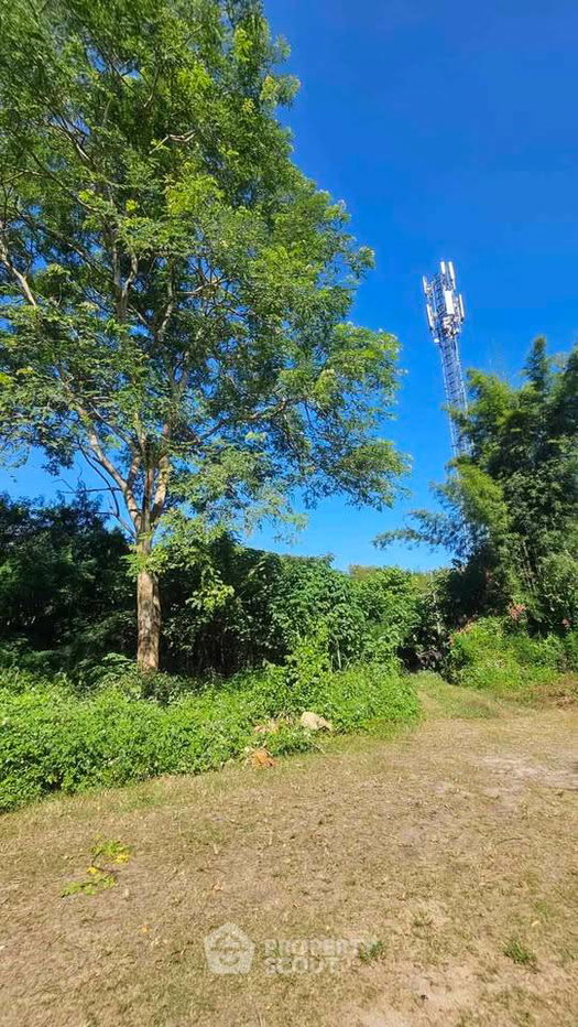 รูป ที่ดินขายในริมใต้ แม่ริม เชียงใหม่ (ID 3213212) - รูปที่ 2/3