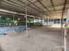listing thumbnail image 96