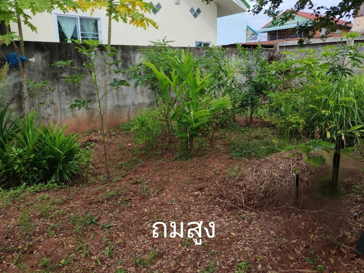 รูป 📢 ขายที่ดินเปล่า​ ถมสูง+รั้วคอนกรีต ทั้ง4ด้าน!! ทำเลปัง✨​ ต.หมากแข้ง อ.เมือง จ.อุดรธา - รูปที่ 6/9