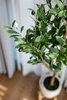 listing thumbnail image 43