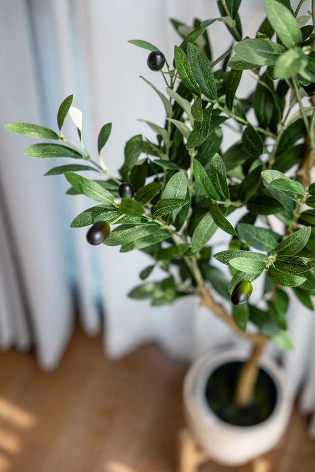 รูป ให้เช่าระยะสั้น 6 เดือน Muniq Langsuan ห้องกว้าง แต่งสวยมาก - รูปที่ 44/70