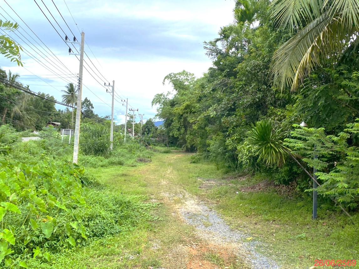 รูป ที่ดินว่างเปล่า 320 ตร.วา กงหรา พัทลุง 2M - รูปที่ 12/19