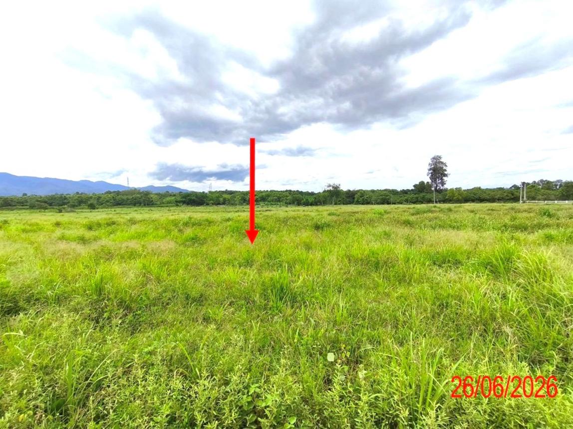 picture LAND 63787 Sq.w. Hang Chat Lamphang for 28.4M - 20/33