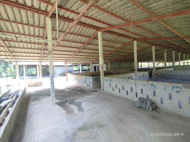 รูป ฟาร์ม 2165 ตร.วา กะปง พังงา 4M - รูปที่ 9/35