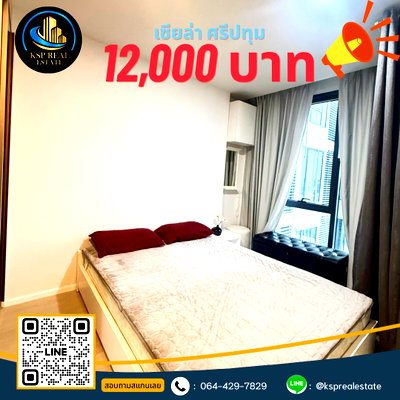 คอนโดให้เช่า : 🎟#KB3005 🔥FOR RENT🔥 CIELA Sripatum (เซียล่า ศรีปทุม)