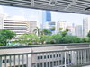listing thumbnail image 15