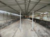 listing thumbnail image 89