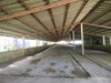 listing thumbnail image 13