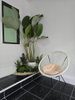 listing thumbnail image 25