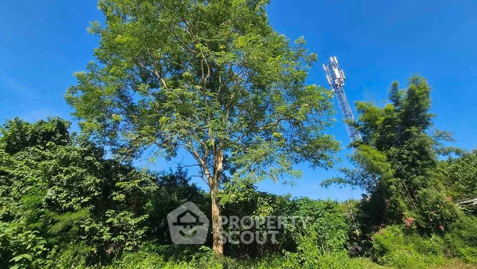 รูป ที่ดินขาย ขนาด 47 ตร.ม. ริมใต้ แม่ริม เชียงใหม่ (ID 3213191) - รูปที่ 1/5