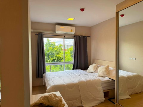 🏡✨ 𝗣𝗟𝗨𝗠 𝗖𝗢𝗡𝗗𝗢 𝗥𝗔𝗡𝗚𝗦𝗜𝗧 𝗔𝗟𝗜𝗩𝗘 𝟮 | ห้องแต่งใหม่ | เฟอร์ครบ | ใกล้ ม.กรุงเทพ