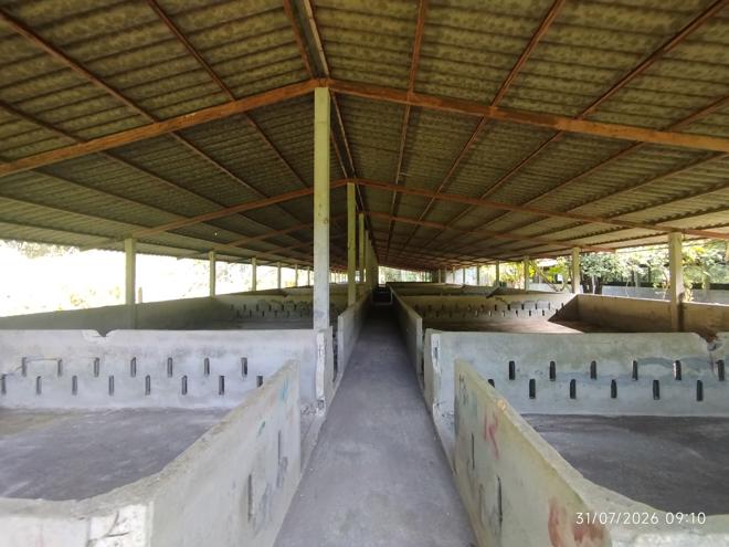 รูป ฟาร์ม 2165 ตร.วา กะปง พังงา 4M - รูปที่ 11/35