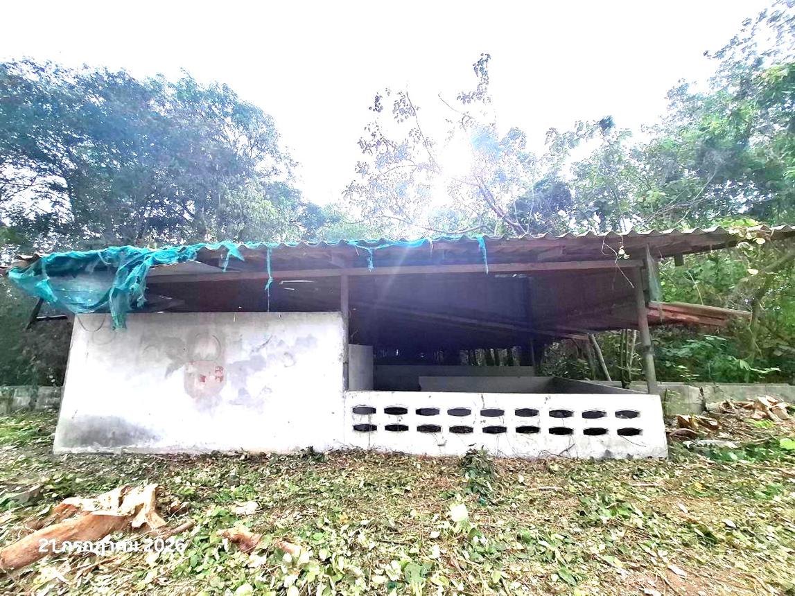 picture LAND 27277 Sq.w. Phra Phutthabat Saraburi for 29.7M - 29/37