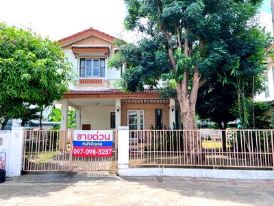บ้านเดี่ยว ถนนสะพานนทบุรี-บางบัวทอง : ขายบ้านเดี่ยว สองชั้น มบ.ชัยพฤกษ์ ถนน 345 ปทุมธานี