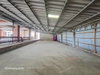 listing thumbnail image 81