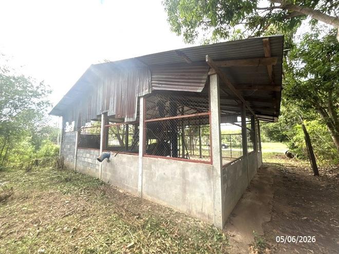 รูป เพิงอเนกประสงค์ 162 ตร.วา ศรีณรงค์ สุรินทร์ 356,000 - รูปที่ 6/17