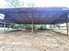listing thumbnail image 24