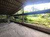 listing thumbnail image 29