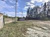 listing thumbnail image 17