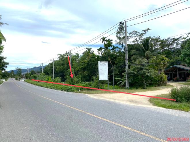 รูป ที่ดินว่างเปล่า 320 ตร.วา กงหรา พัทลุง 2M - รูปที่ 4/19