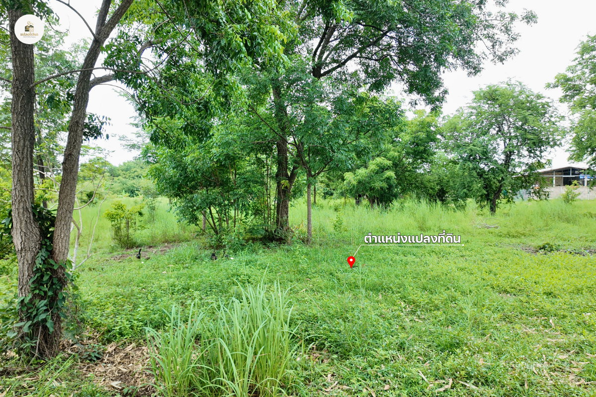 รูป ขายบ้านพร้อมที่ดิน 2 ไร่ 2 งาน 19 ตร.ว. โฉนดครุฑแดง วิวภูเขา ต.วังชมภู เพชรบูรณ์ - รูปที่ 7/13