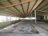 listing thumbnail image 28