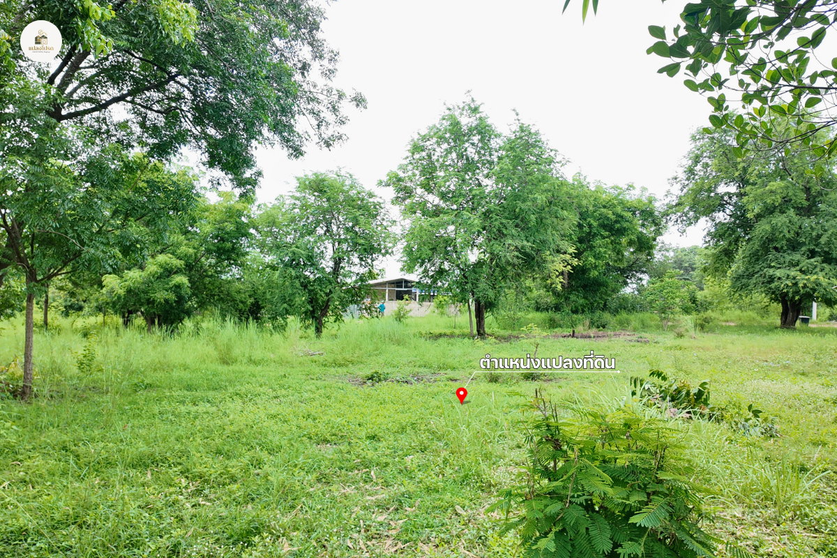 รูป ขายบ้านพร้อมที่ดิน 2 ไร่ 2 งาน 19 ตร.ว. โฉนดครุฑแดง วิวภูเขา ต.วังชมภู เพชรบูรณ์ - รูปที่ 6/13