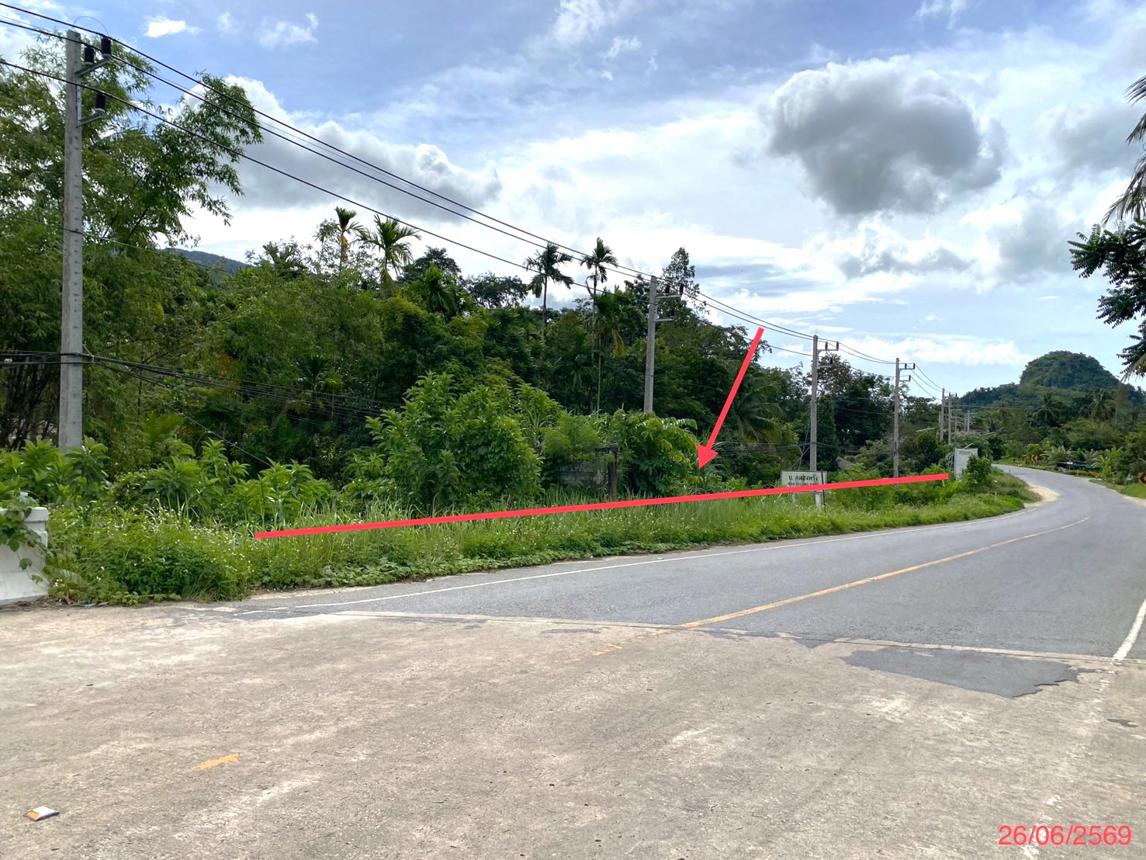 รูป ที่ดินว่างเปล่า 320 ตร.วา กงหรา พัทลุง 2M - รูปที่ 10/19