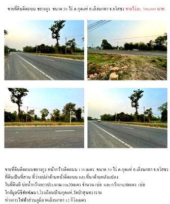 ขายที่ดิน : เจ้าของขายเอง ขายด่วน ที่ดินติดถนนชยางกูร 50 ไร่ หน้ากว้าง 138 ม. จ.ยโสธร