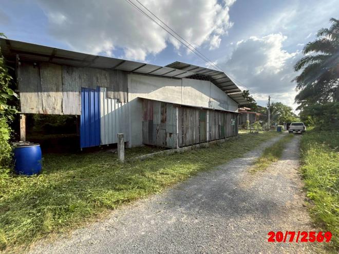 รูป โกดัง 142 ตร.วา ทุ่งสง นครศรีธรรมราช 4.1M - รูปที่ 5/31