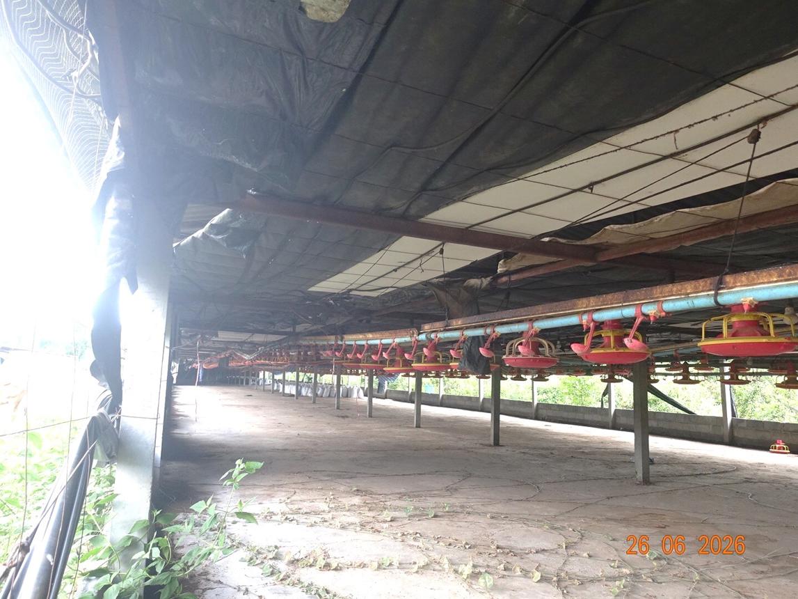 รูป ฟาร์ม 5495 ตร.วา หนองกี่ บุรีรัมย์ 13.2M - รูปที่ 15/27