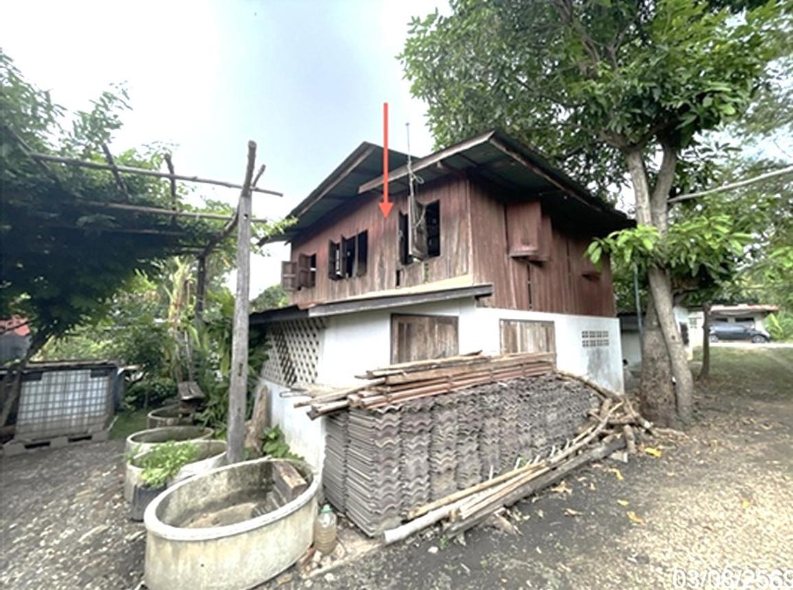 รูป บ้านเดี่ยว 80 ตร.วา สรรคบุรี ชัยนาท 1M - รูปที่ 11/21