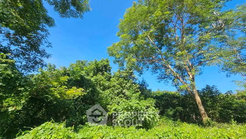 ที่ดินขายในริมใต้ แม่ริม เชียงใหม่ (ID 3213212)