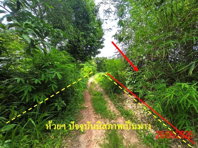 picture LAND 63787 Sq.w. Hang Chat Lamphang for 28.4M - 13/33