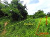listing thumbnail image 28