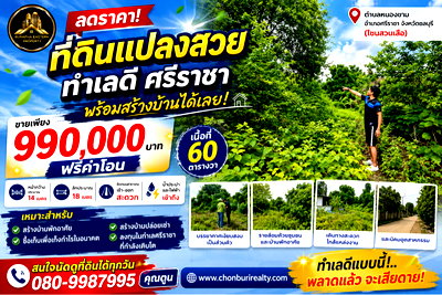 ขายที่ดิน : ขายที่ดิน 60 ตรว โซนสวนเสือศรีราชา