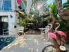 listing thumbnail image 12