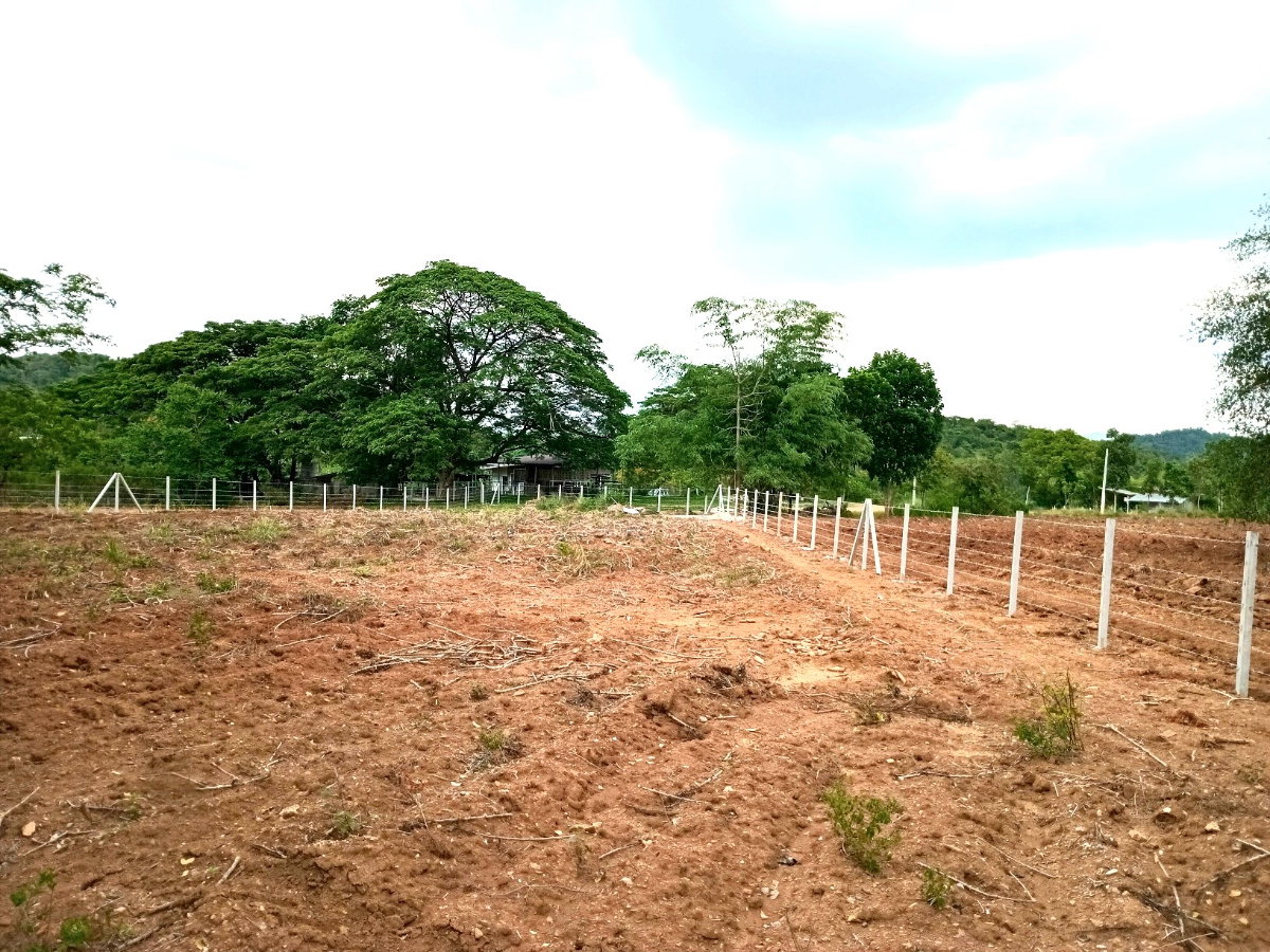 รูป 1-3-36 ไร่ โฉนดครุฑแดง ที่ดิน มวกเหล็ก สระบุรี - รูปที่ 4/5