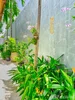 listing thumbnail image 44