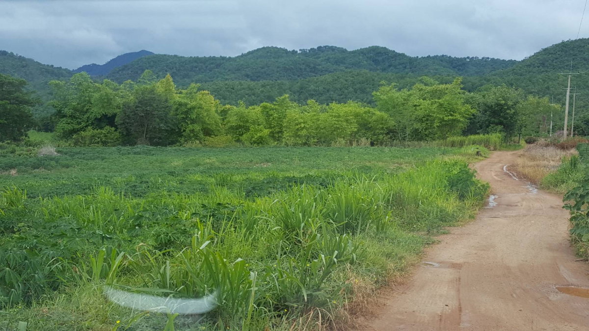 รูป ขายบ้านและสิทธิ์ครอบครองที่ดิน จำนวน 10 ไร่ ต.บ้านเก่า อ.เมืองกาญจนบุรี - รูปที่ 4/5