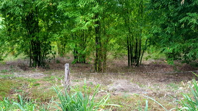Land for sale Kanchanaburi : For Sale: House and Land Possession Rights – 10 Rai