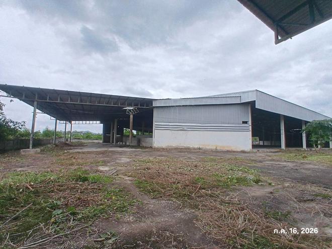 รูป โกดัง 6732.2 ตร.วา ป่าซาง ลำพูน 60.1M - รูปที่ 5/77