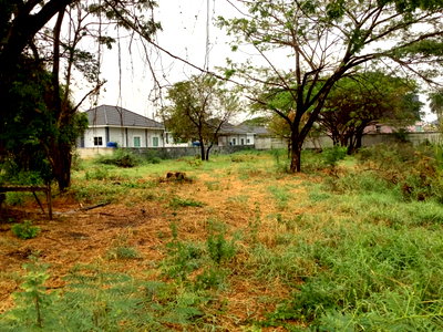 ที่ดิน บึงหนองโคตร ขอนแก่น : ขายที่ดินใน จ.ขอนแก่น เขต ต.เมืองเก่า อ.เมือง