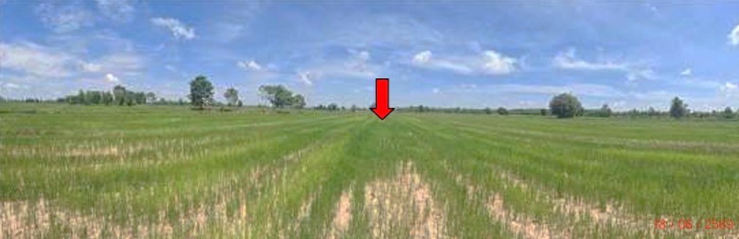 picture LAND 618.1 Sq.w. Sri Narong Surin for 371,000 - 13/21