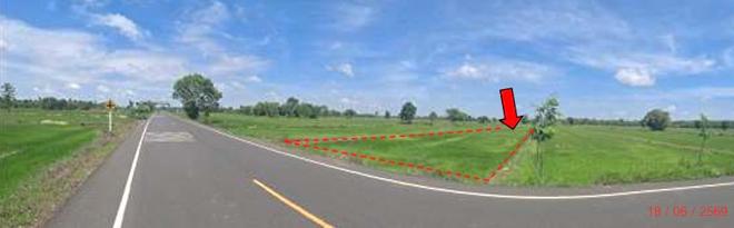 picture LAND 618.1 Sq.w. Sri Narong Surin for 371,000 - 2/21
