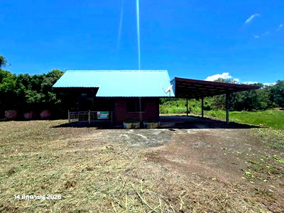 บ้านเดี่ยว วังทอง พิษณุโลก : บ้านเดี่ยว 4565.6 ตร.วา วังทอง พิษณุโลก 3.3M