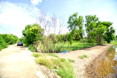 ขายที่ดิน : ขายที่ดิน วังน้อย อยุธยา (1 ไร่ และ 4 ไร่) ผังเมืองสีเขียว ติดถนนคอนกรีต ซ.วังจุฬา 8 